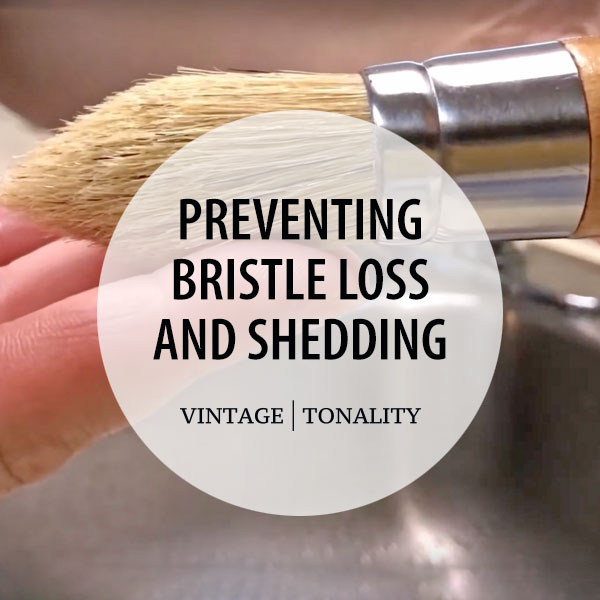 How To: Prevent Bristle Shedding