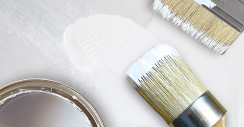 Natural Bristle Paint Brushes